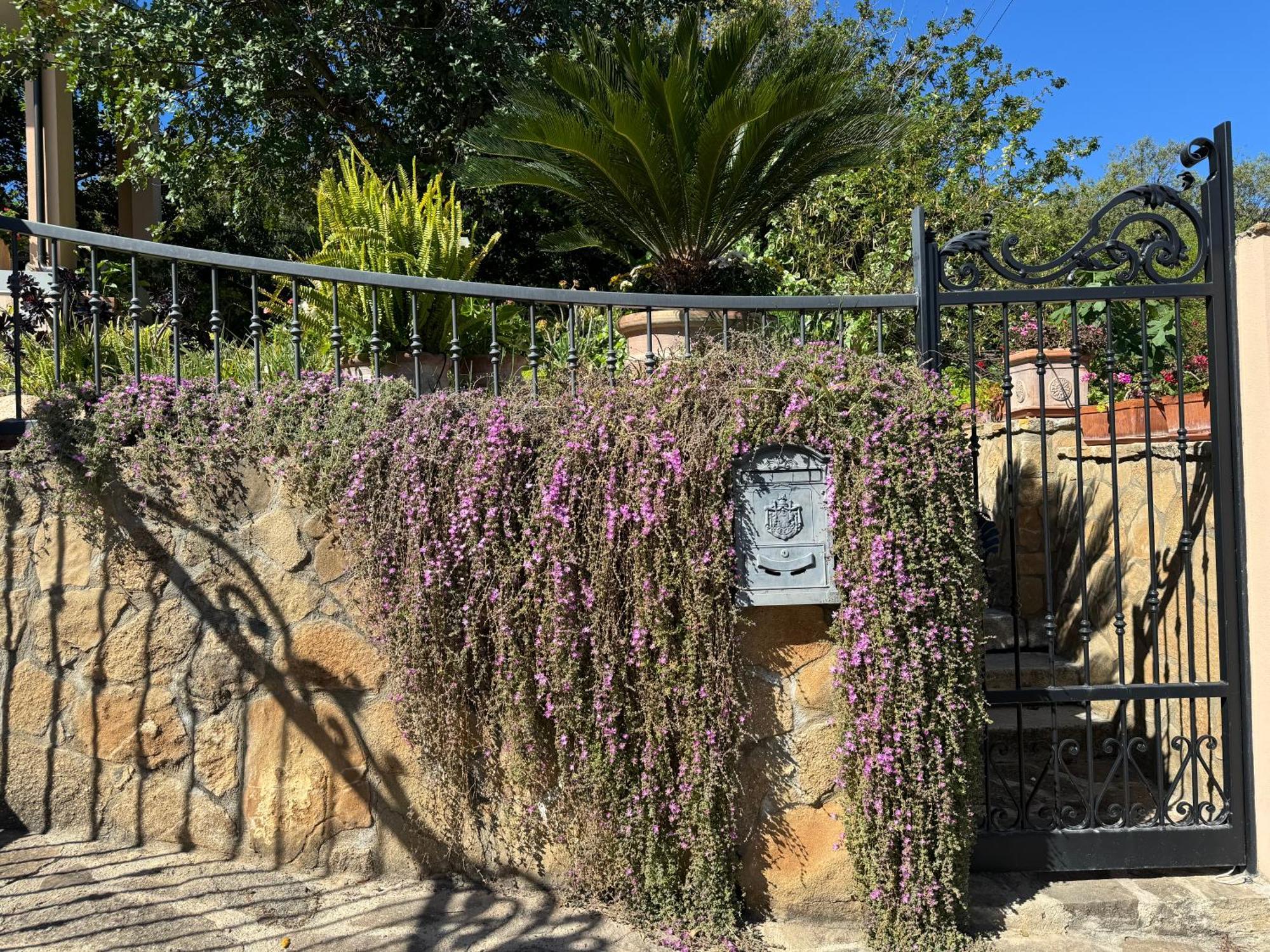 Villa Dei Fiori - Casa Vacanza كابوتيرا المظهر الخارجي الصورة