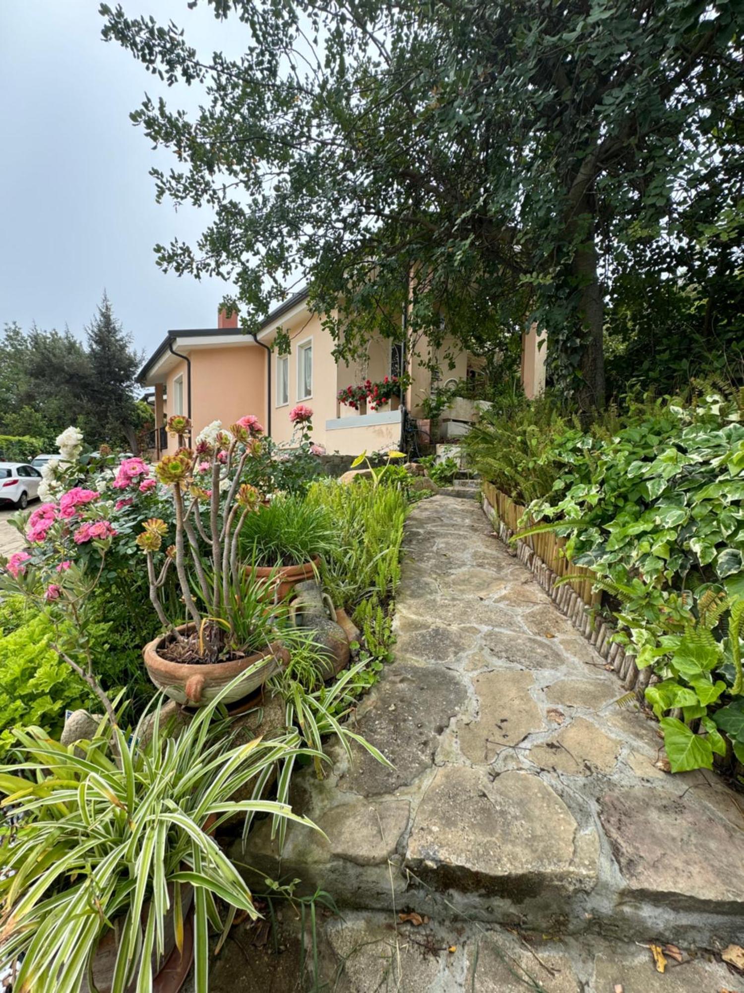 Villa Dei Fiori - Casa Vacanza كابوتيرا المظهر الخارجي الصورة